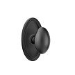 Emtek Egg Knob with Oval Rosette Concealed Fastener 